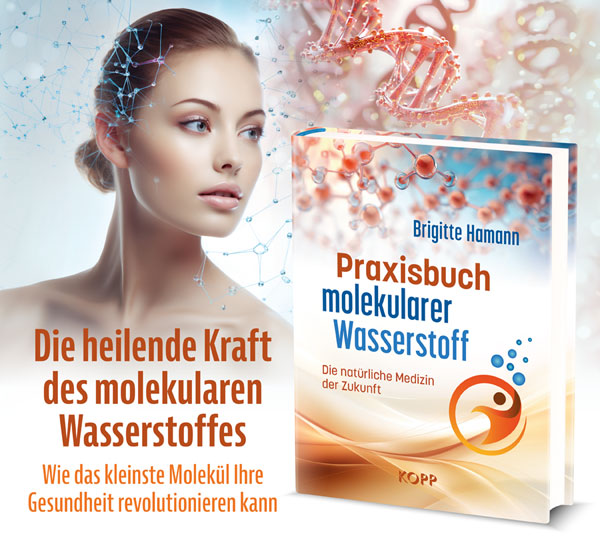 Praxisbuch molekularer Wasserstoff