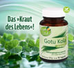 Kopp Vital   Gotu Kola Kapseln_small_zusatz