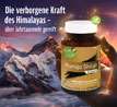 Kopp Vital   Mumijo Shilajit Kapseln_small_zusatz